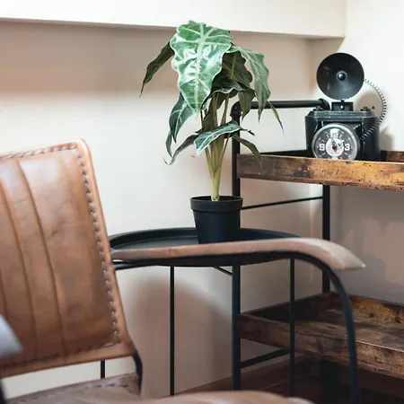 Deluxe House Maj * Brežice