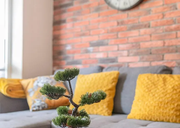 Deluxe House Maj شقة *