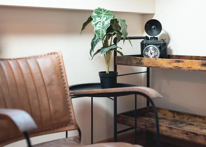 Deluxe House Maj * Brežice